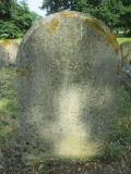 image of grave number 491386
